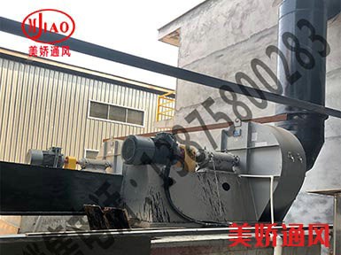 大型生物科技有限公司配套我公司風(fēng)機(jī)點(diǎn)火成功！